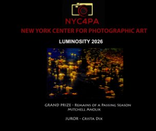 NYC4PA Luminosity PROOF COPY book cover